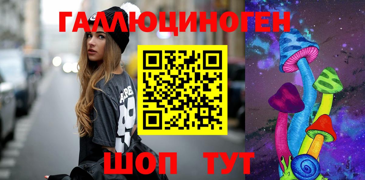Сланцы  Псилоцибиновые грибы мицелий  где купить наркоту  Вход с VPN 
