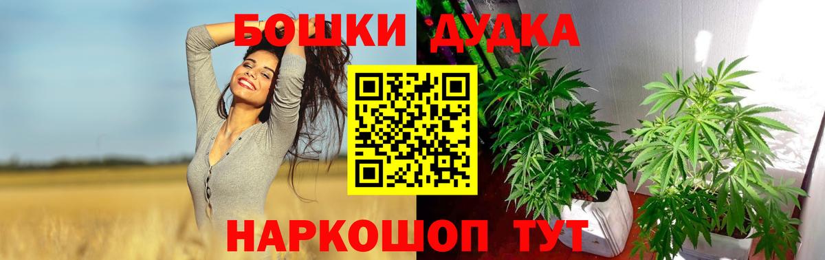 Канабис план  Вход с VPN  Сланцы  Конопля сатива 